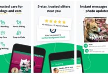 20 Best Side Hustle Apps to Make Money on the Go